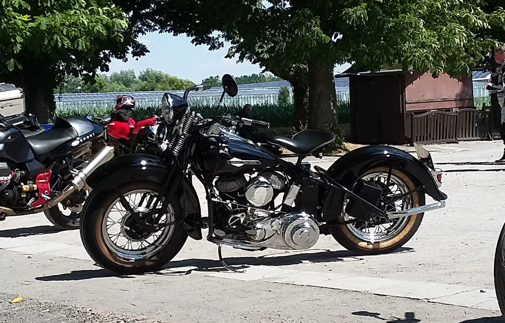 Harley 1.jpg