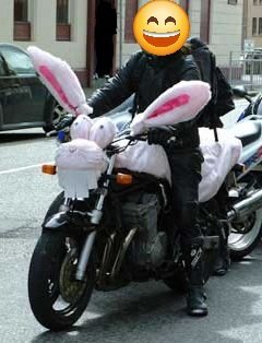 bunnybike(1).jpg.92fc2e373a20991f3e84750be670d1c8.jpg